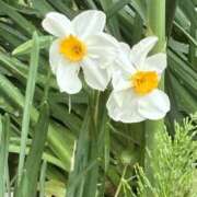 ヒメ日記 2026/04/08 10:07 投稿 もえ 逢って30秒で即尺