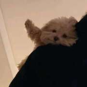 かなで 会いにきてね♡ 見学娘