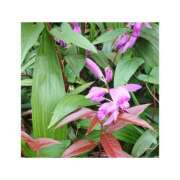 ヒメ日記 2025/10/04 23:36 投稿 守屋 熟女の風俗最終章　鶯谷店