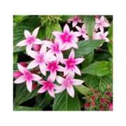 ヒメ日記 2025/10/13 18:06 投稿 守屋 熟女の風俗最終章　鶯谷店