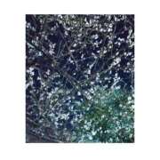 ヒメ日記 2026/02/11 09:06 投稿 守屋 熟女の風俗最終章　鶯谷店