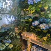 ヒメ日記 2025/09/29 17:39 投稿 かすみ ぷるりんクエスト上野浅草鶯谷秋葉原デリヘル王国