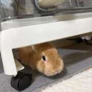 ヒメ日記 2025/09/28 10:03 投稿 まほ スーパークリスタル