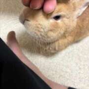 ヒメ日記 2025/12/07 18:13 投稿 まほ スーパークリスタル