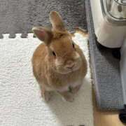 ヒメ日記 2025/12/30 23:01 投稿 まほ スーパークリスタル