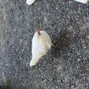 ヒメ日記 2026/01/02 10:25 投稿 のぞみ 逢って30秒で即尺