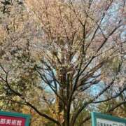 ヒメ日記 2026/04/04 19:27 投稿 石川★(二輪車可) プリマドンナ