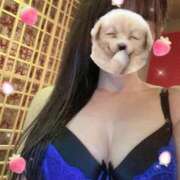 ヒメ日記 2025/10/08 11:27 投稿 藤堂サナ -NEO-皇帝別館（中央街）