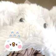 ヒメ日記 2025/11/25 20:12 投稿 藤堂サナ -NEO-皇帝別館（中央街）