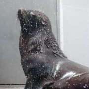 ヒメ日記 2025/09/19 19:20 投稿 ゆづき 渋谷じゃっくす