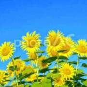 ヒメ日記 2025/09/26 19:30 投稿 ゆづき 渋谷じゃっくす