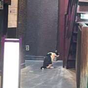 ヒメ日記 2025/10/24 19:53 投稿 桜田　みれい 現役ナースが精液採取に伺います 梅田店