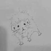 ヒメ日記 2025/12/07 21:47 投稿 桜田　みれい 現役ナースが精液採取に伺います 梅田店