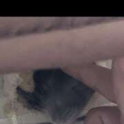 ヒメ日記 2025/12/19 00:56 投稿 桜田　みれい 現役ナースが精液採取に伺います 梅田店