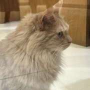 ヒメ日記 2025/10/16 11:07 投稿 一ノ瀬 美幸 CASA BIANCA（カーサ・ビアンカ）