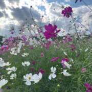 ヒメ日記 2025/10/27 19:10 投稿 一ノ瀬 美幸 CASA BIANCA（カーサ・ビアンカ）