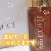 ヒメ日記 2025/10/23 18:33 投稿 みつば コスパラ(梅田)