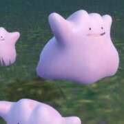 ヒメ日記 2025/11/23 12:01 投稿 みつば コスパラ(梅田)