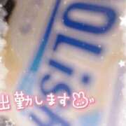 ヒメ日記 2026/02/03 11:15 投稿 みつば コスパラ(梅田)