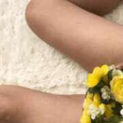 ヒメ日記 2025/10/10 12:32 投稿 かなお 甲府人妻隊