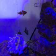 ヒメ日記 2026/01/27 22:45 投稿 かなお 甲府人妻隊