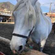 ヒメ日記 2026/02/15 14:30 投稿 かなお 甲府人妻隊