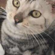 ヒメ日記 2026/02/18 06:35 投稿 かなお 甲府人妻隊