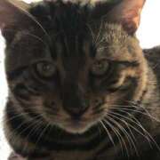 ヒメ日記 2026/02/18 21:11 投稿 かなお 甲府人妻隊