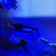 ヒメ日記 2026/02/18 21:49 投稿 かなお 甲府人妻隊