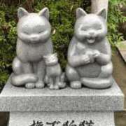 ヒメ日記 2026/02/19 04:45 投稿 かなお 甲府人妻隊