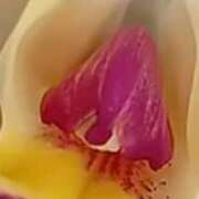 ヒメ日記 2026/04/12 11:25 投稿 かなお 甲府人妻隊