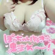 ヒメ日記 2025/10/08 11:58 投稿 みほ☆ 豊橋豊川ちゃんこ