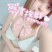 ヒメ日記 2025/10/22 11:32 投稿 みほ☆ 豊橋豊川ちゃんこ