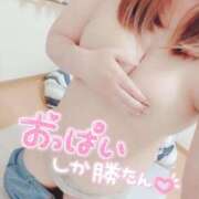 ヒメ日記 2025/11/18 13:28 投稿 みほ☆ 豊橋豊川ちゃんこ