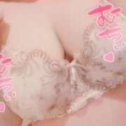 ヒメ日記 2025/11/19 21:22 投稿 みほ☆ 豊橋豊川ちゃんこ