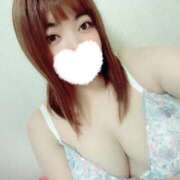 ヒメ日記 2025/12/15 00:52 投稿 みほ☆ 豊橋豊川ちゃんこ