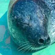 ヒメ日記 2025/09/24 12:50 投稿 遠藤ゆい 月の真珠-五反田-