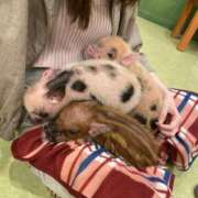 ヒメ日記 2025/09/27 14:50 投稿 遠藤ゆい 月の真珠-五反田-