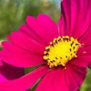 ヒメ日記 2025/09/30 13:20 投稿 遠藤ゆい 月の真珠-五反田-