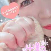 ヒメ日記 2025/11/15 21:35 投稿 かなり 栃木宇都宮ちゃんこ