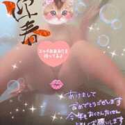 ヒメ日記 2026/01/04 23:25 投稿 かなり 栃木宇都宮ちゃんこ