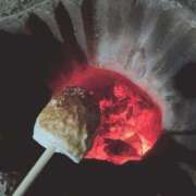 ヒメ日記 2026/03/02 12:25 投稿 かなり 栃木宇都宮ちゃんこ