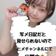 ヒメ日記 2025/10/11 09:15 投稿 しゅりな バイオレンス