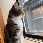 ヒメ日記 2025/10/29 00:05 投稿 しゅりな バイオレンス