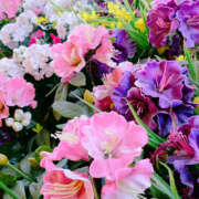 ヒメ日記 2025/11/27 23:25 投稿 しゅりな バイオレンス