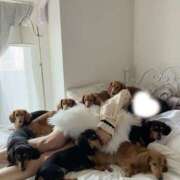 ヒメ日記 2026/04/05 12:25 投稿 しゅりな バイオレンス