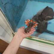 ヒメ日記 2026/04/10 16:25 投稿 しゅりな バイオレンス