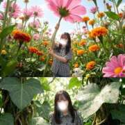 ヒメ日記 2026/06/15 20:55 投稿 しゅりな バイオレンス