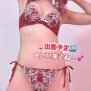 ヒメ日記 2025/11/10 01:47 投稿 にこ あふたーすくーる