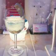 ヒメ日記 2026/02/11 00:28 投稿 にこ あふたーすくーる